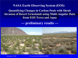 Quantifying Changes in Carbon Pools with Shrub Invasion of Desert Grasslands Using Multi-Angular Data from EOS Terra and Aqua –– Preliminary Results ––