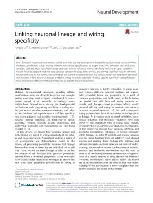 Linking Neuronal Lineage and Wiring Specificity Hongjie Li1†, S