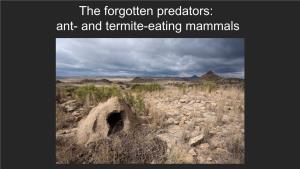 The Forgotten Predators: Ant- and Termite-Eating Mammals Acknowledgements