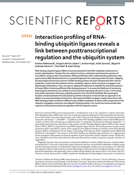 Interaction Profiling of RNA-Binding Ubiquitin Ligases Reveals A
