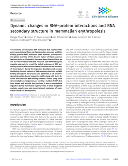 Dynamic Changes in RNA–Protein Interactions and RNA Secondary Structure in Mammalian Erythropoiesis