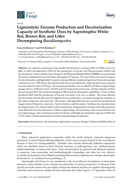 Ligninolytic Enzyme Production and Decolorization Capacity of Synthetic Dyes by Saprotrophic White Rot, Brown Rot, and Litter Decomposing Basidiomycetes