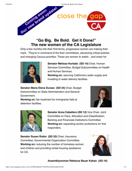 “Go Big. Be Bold. Get It Done!” the New Women of the CA Legislature Only a Few Months Into Their ﬁrst Terms, Progressive Women Are Making Their Mark
