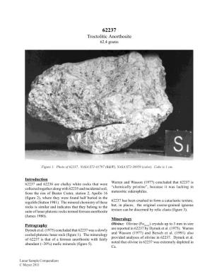 62237 Troctolitic Anorthosite 62.4 Grams