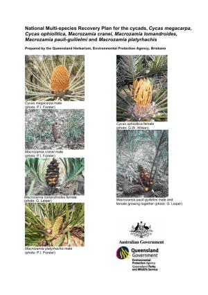 National Multi-Species Recovery Plan for the Cycads, Cycas Megacarpa