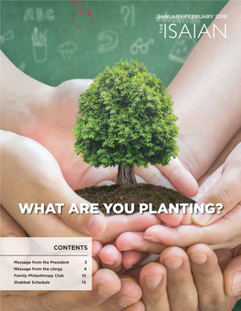 What Are You Planting?