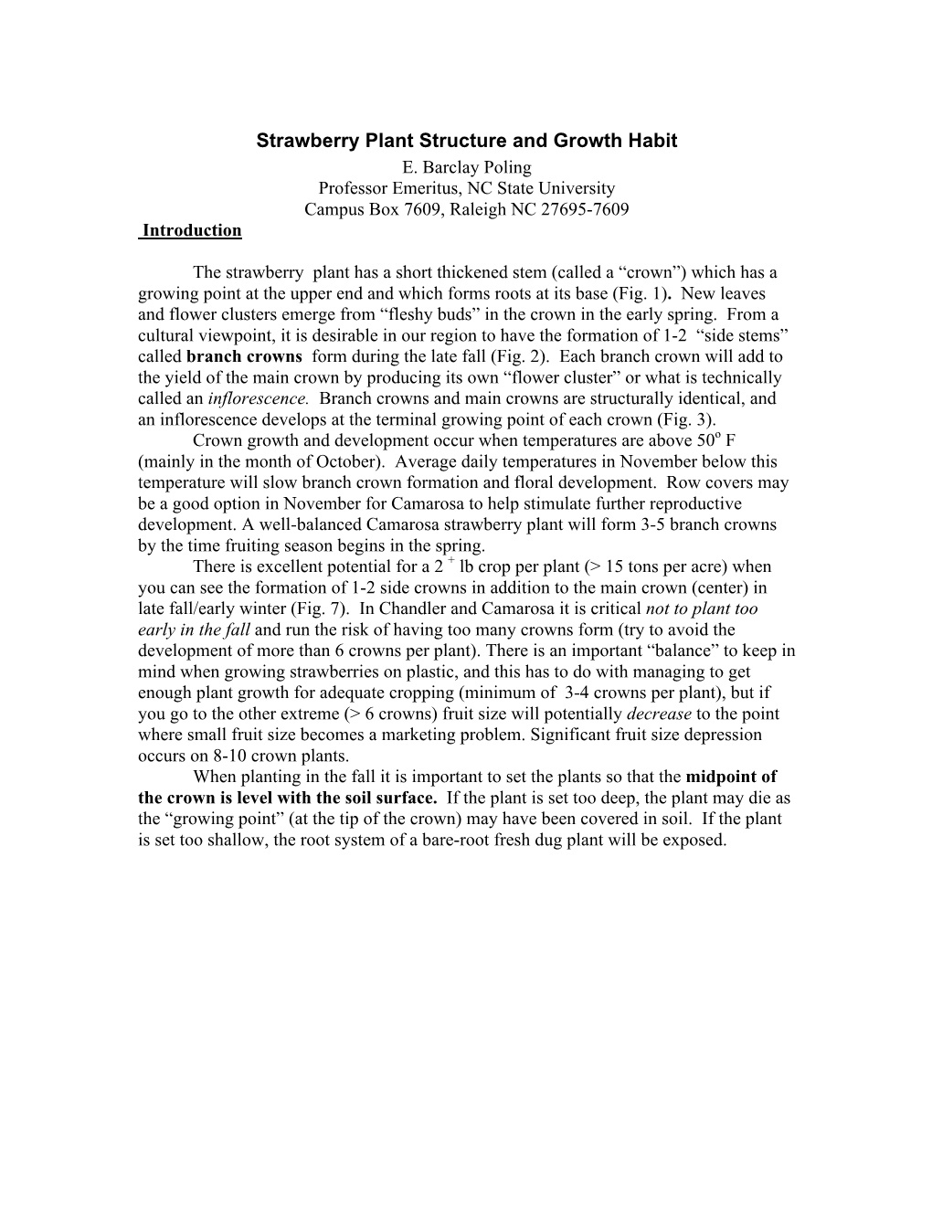 Strawberry Plant Structure and Growth Habit E