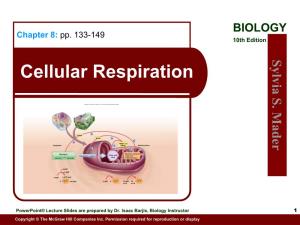 Cellular Respiration Cellular