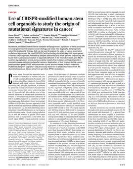 Use of CRISPR-Modified Human Stem Cell Organoids to Study the Origin Of