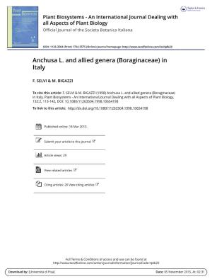Anchusa L. and Allied Genera (Boraginaceae) in Italy
