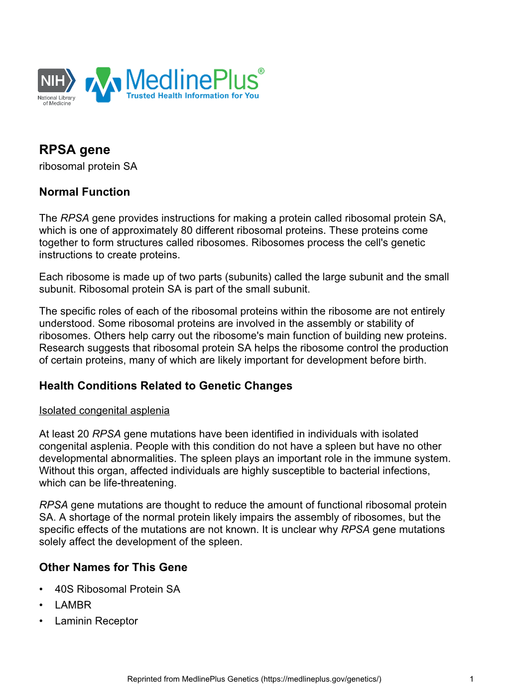 RPSA Gene Ribosomal Protein SA