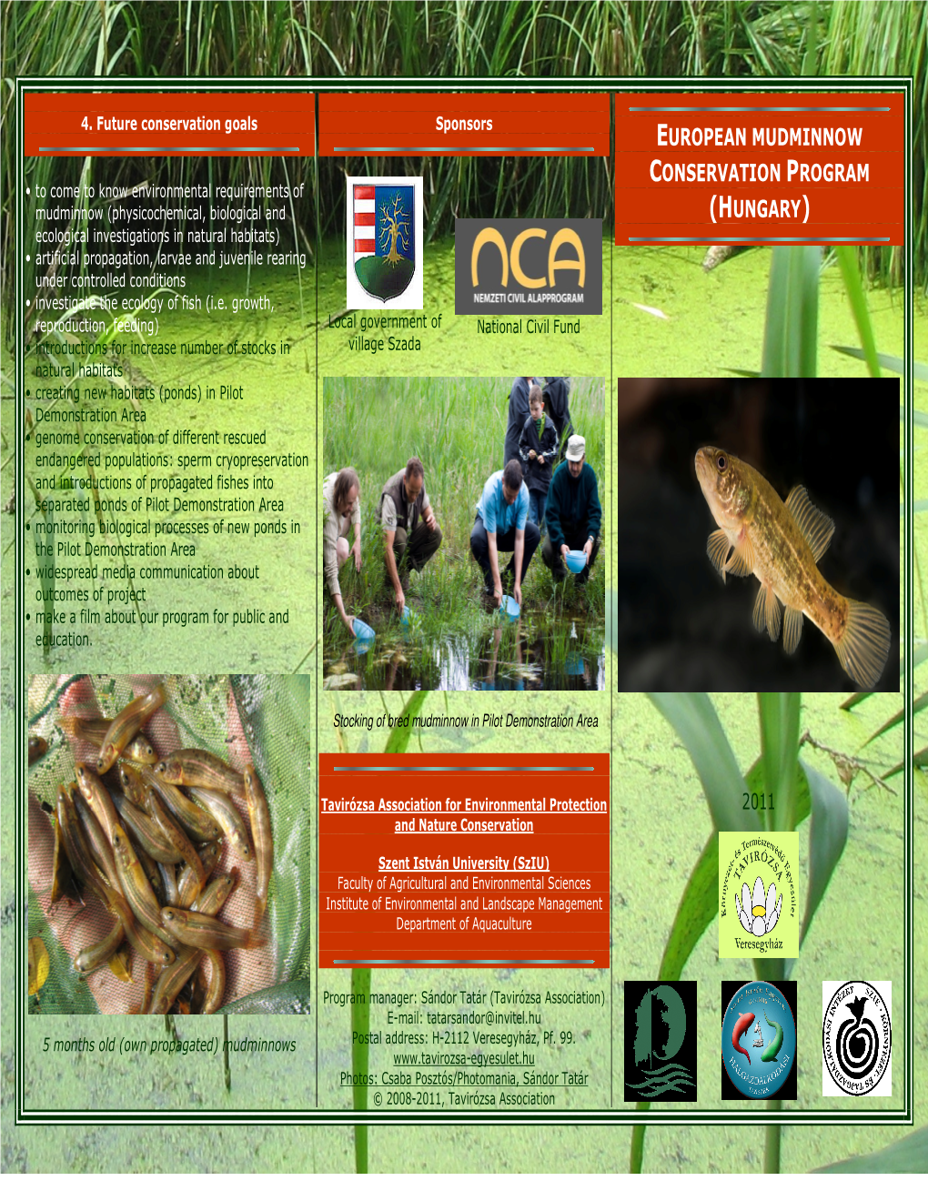 European Mudminnow Conservation Program