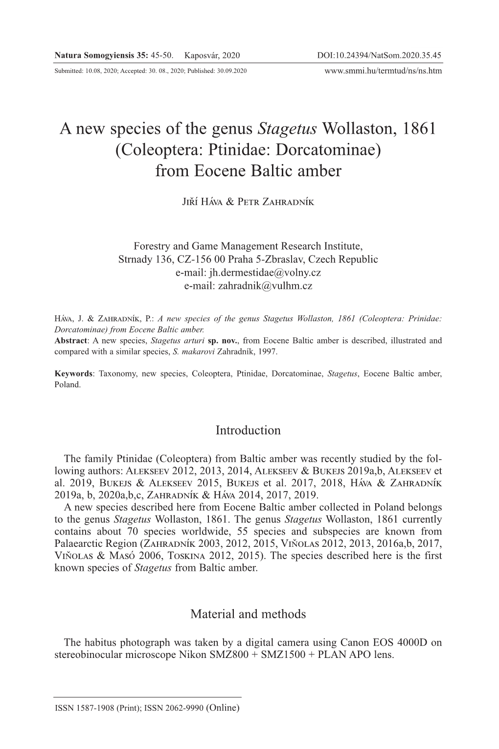 Coleoptera: Ptinidae: Dorcatominae) from Eocene Baltic Amber