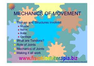 Mechanics of Movement