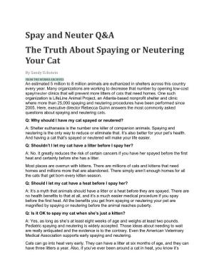 Spay and Neuter Q&A the Truth About Spaying Or Neutering Your