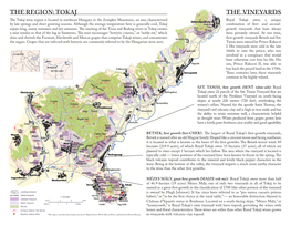 The Region: Tokaj the Vineyards