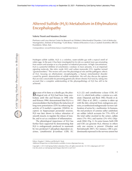 H2S) Metabolism in Ethylmalonic Encephalopathy