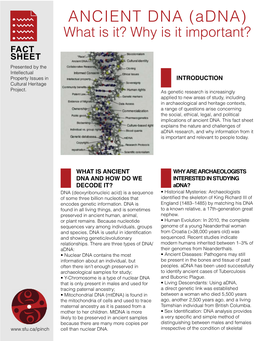 ANCIENT DNA (Adna) What Is It? Why Is It Important? FACT SHEET Presented by the Intellectual Property Issues in INTRODUCTION Cultural Heritage Project