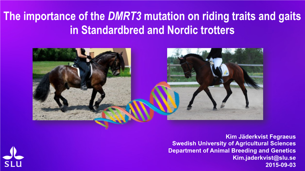 The Importance of the DMRT3 Mutation on Riding Traits and Gaits in Standardbred and Nordic Trotters