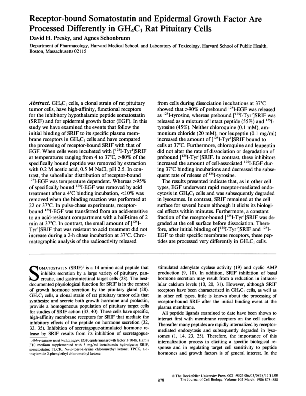 Receptor-Bound Somatostatin and Epidermal Growth Factor Are Processed Differently in GH4C1 Rat Pituitary Cells David H