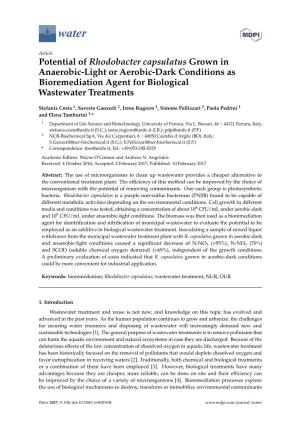 Potential of Rhodobacter Capsulatus Grown in Anaerobic-Light Or Aerobic-Dark Conditions As Bioremediation Agent for Biological Wastewater Treatments