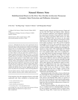 Multifunctional Bracts in the Dove Tree Davidia Involucrata (Nyssaceae: Cornales): Rain Protection and Pollinator Attraction