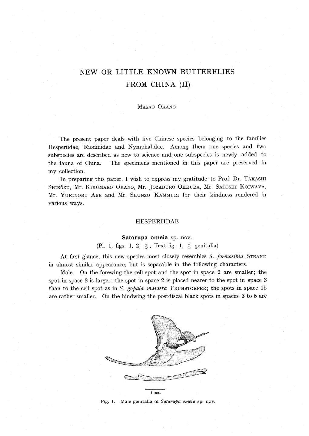 New Or Little Known Butterflies Hesperiidae