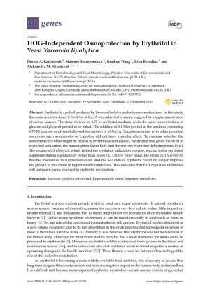 HOG-Independent Osmoprotection by Erythritol in Yeast Yarrowia Lipolytica