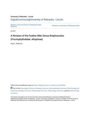 A Revision of the Feather Mite Genus Brephosceles (Proctophyllodidae: Alloptinae)