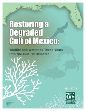 Restoring a Degraded Gulf of Mexico