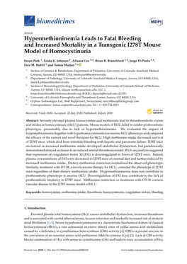 Hypermethioninemia Leads to Fatal Bleeding and Increased Mortality in a Transgenic I278T Mouse Model of Homocystinuria