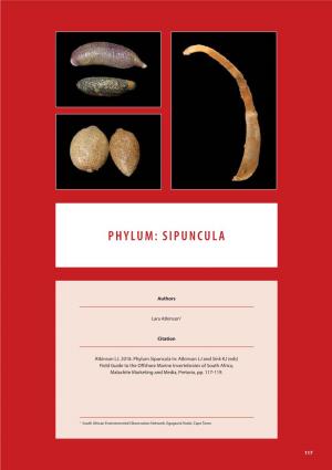Phylum: Sipuncula