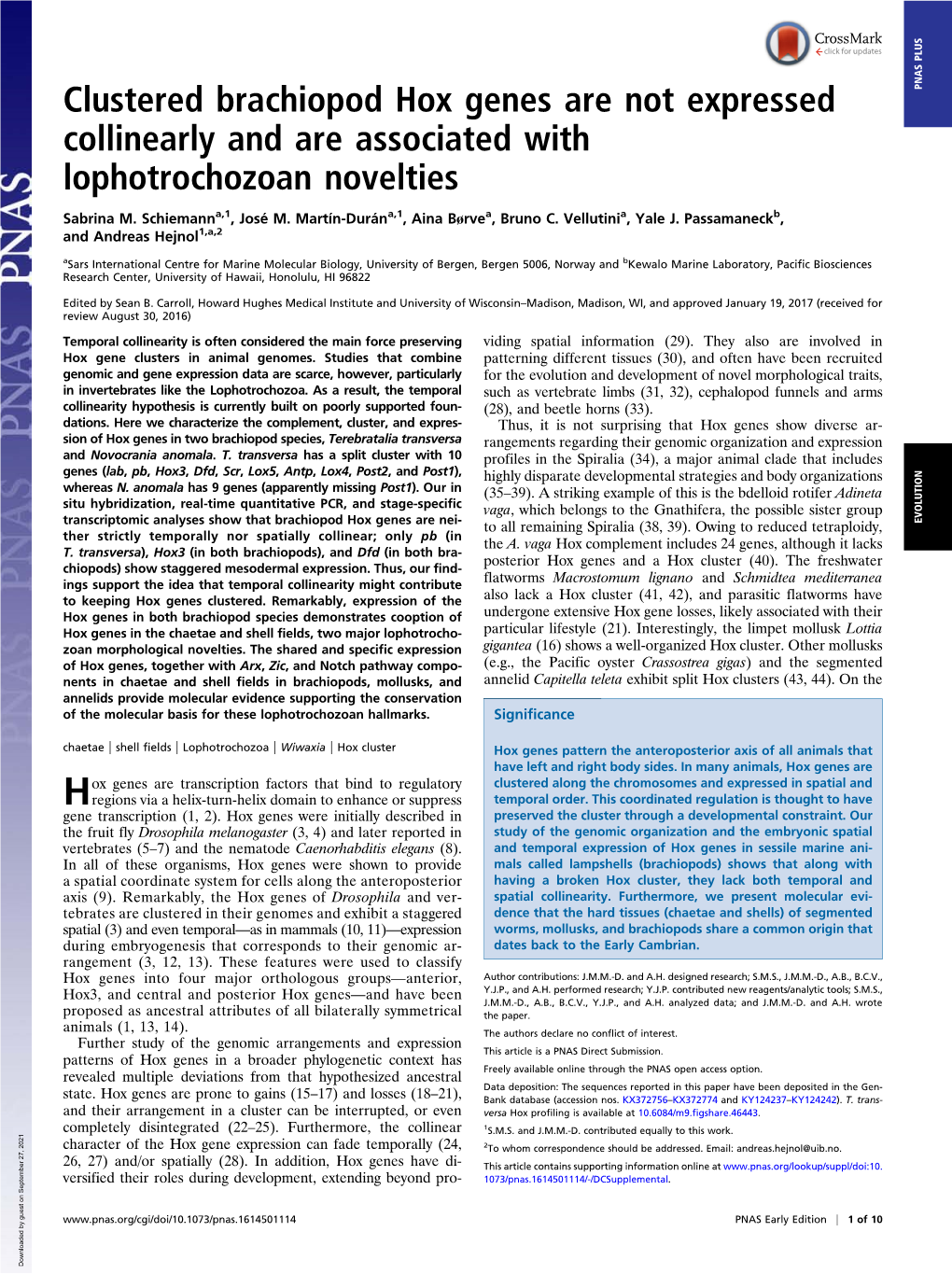 Clustered Brachiopod Hox Genes Are Not Expressed Collinearly and Are