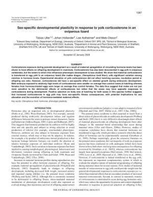 Sex-Specific Developmental Plasticity in Response to Yolk Corticosterone in an Oviparous Lizard
