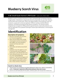 Blueberry Scorch Virus Identification