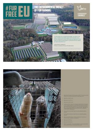 The Environmental Impact of Fur Farming