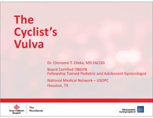 The Cyclist's Vulva