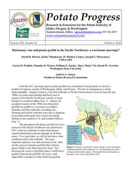 Potato Psyllid in the Pacific Northwest: a Worrisome Marriage?