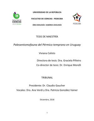 Paleoentomofauna Del Pérmico Temprano En Uruguay