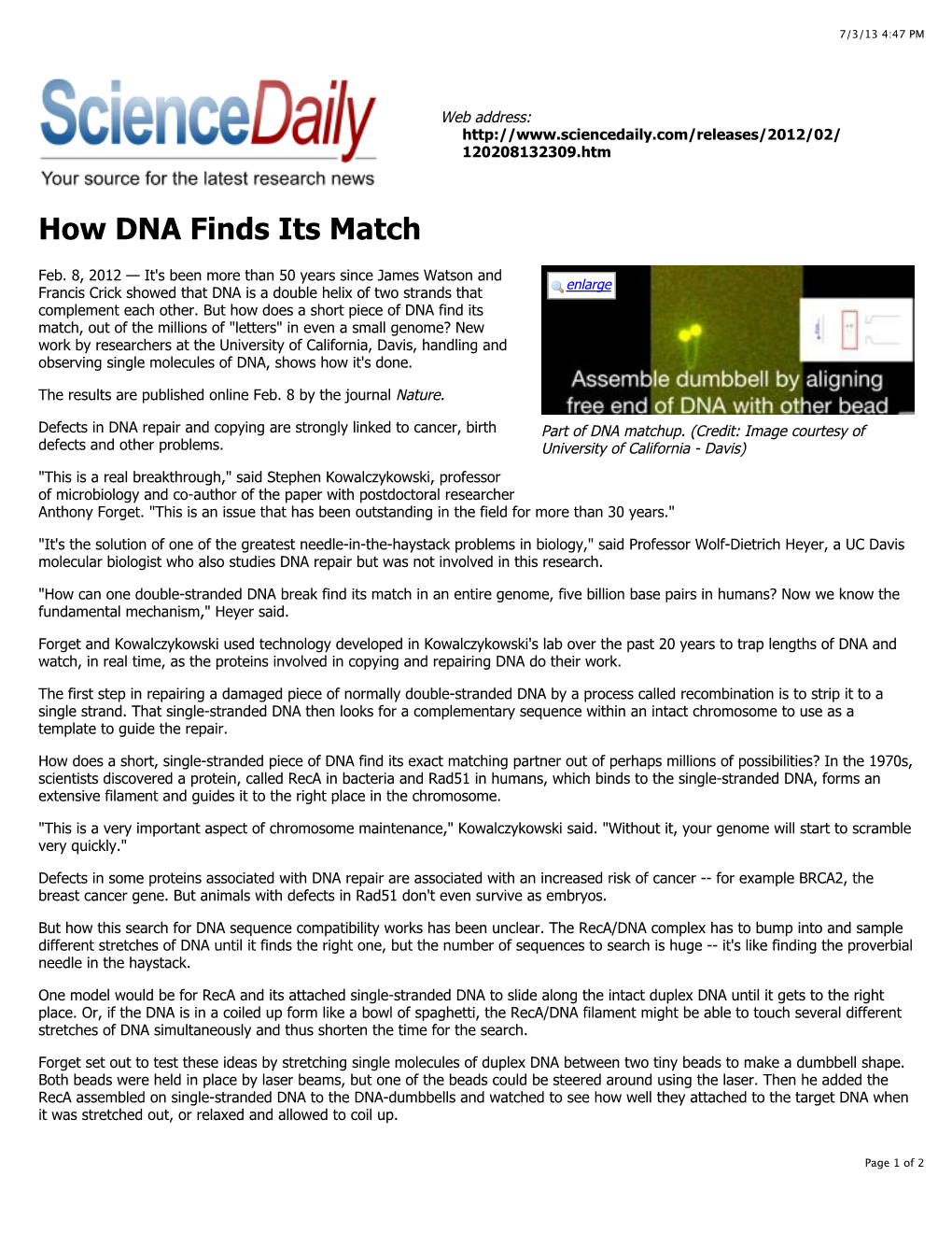 How DNA Finds Its Match
