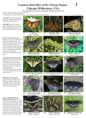 Common Butterflies of the Chicago Region