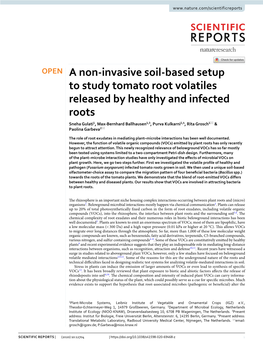 A Non-Invasive Soil-Based Setup to Study Tomato Root Volatiles Released