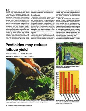 Pesticides May Reduce Lettuce Yield Frank V