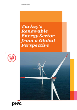 Turkey's Renewable Energy Sector from a Global Perspective