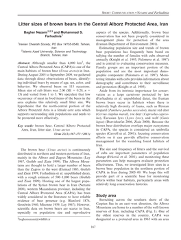 Litter Sizes of Brown Bears in the Central Alborz Protected Area, Iran