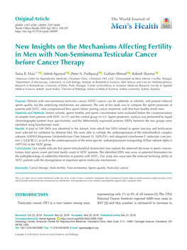 New Insights on the Mechanisms Affecting Fertility in Men with Non-Seminoma Testicular Cancer Before Cancer Therapy
