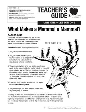 What Makes a Mammal a Mammal?