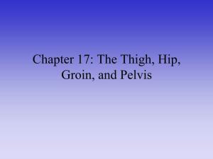 Chapter 21: the Thigh, Hip, Groin, and Pelvis