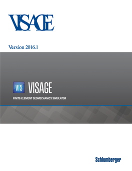 VISAGE 2016.1 Installation Guide