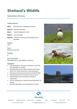 Shetland's Wildlife